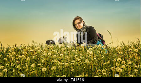 Frau mit ihren Hunden in den Löwenzahn Feld Stockfoto