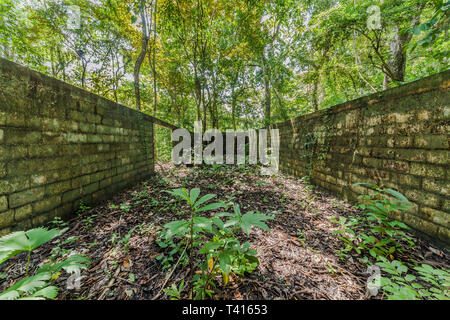 Ruine in Metropolitan Nationalpark in Panama-City. Verlorene Orte. Stockfoto