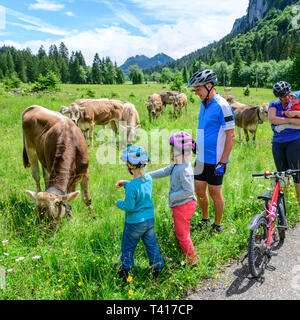 Familie tun Radtour - brechen, um Kühe zu füttern Stockfoto