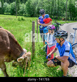 Familie tun Radtour - brechen, um Kühe zu füttern Stockfoto