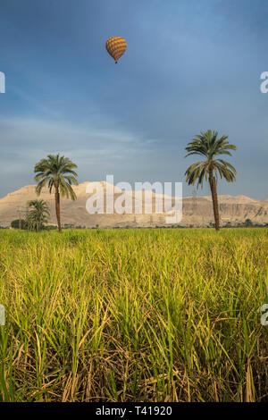 Heißluftballon fliegen über das Tal der Könige, Luxor, Ägypten Stockfoto