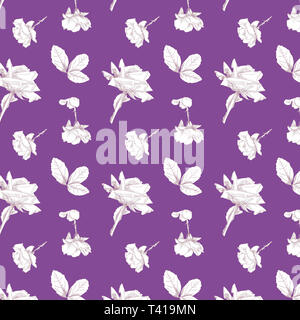 Muster der Hand Rosen in Weiß mit einem farbigen Hintergrund berry 1500 x 1500 wiederholen   durch jziprian gezeichnet Stockfoto