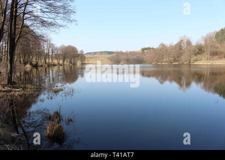 Blick auf den See (Suwalki Landschaftspark, Podlasien, Polen, Europa) Stockfoto