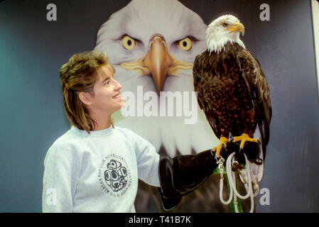 Alaska, Nordwest, Nord, 49th State, Alaskan, Arktis, The Last Frontier, Sitka Alaska Raptor Rehabilitation Center Handler mit Buddy der Weißkopfseeadler illegal Stockfoto