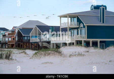 Alabama Golf von Mexiko Küste Baldwin County Gulf Shores, West Beach Häuser Gebäude am Strand Flock Pelikane, Stockfoto