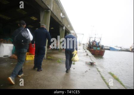 Verlassen des Docks nach schleppnetzfangs in der Irischen See. 4 Mann Besatzung arbeiten an 1 der letzten verbleibenden Trawler. Fleetwood, Lancashire. 24/10/06 Stockfoto