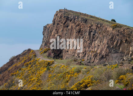 Salisbury Crags in Holyrood Park, dem Edinburgh. Stockfoto