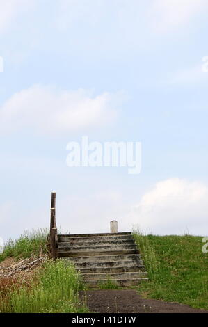 In einem Park gibt es viel zu tun. Stockfoto