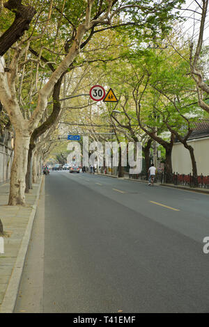 Shanghai French Concession area Stockfoto