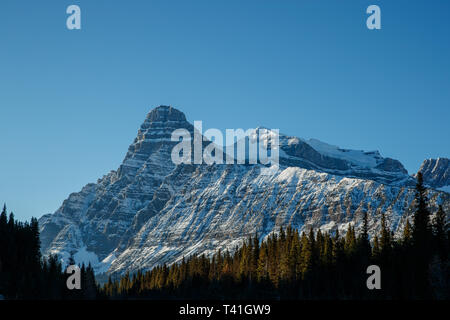 Weiße Pyramide Berg der Icefields Parkway, Alberta, Kanada Stockfoto