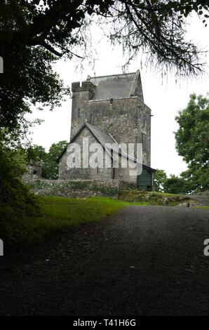 Craggaunowen Tower House oder das Schloss in Clare Irland Stockfoto