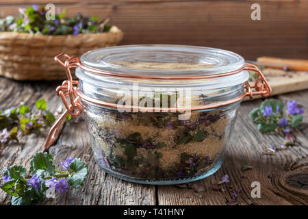 Zubereitung von hausgemachten Sirup gegen Husten aus frischen Boden - Efeu und Rohrzucker Stockfoto