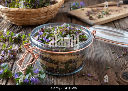 Vorbereitung des Bodens - Efeu Kräuter Sirup gegen Husten in einem Glas Stockfoto