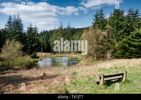 Kleiner Teich in der Nähe der hohen Vinnals Parkplatz, in Mortimer Wald, Ludlow, Shropshire und Herefordshire Stockfoto