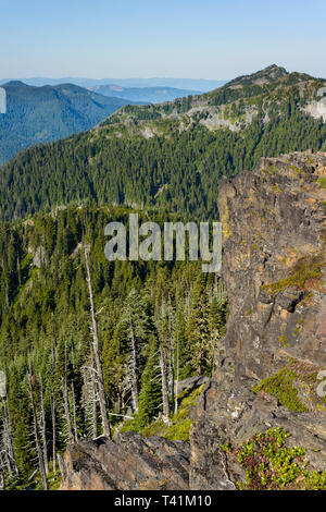 Bäume und Berge in den Kaskaden Stockfoto