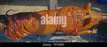 Ganzes Schwein auf stick Rösten unter offenen Feuer Stockfoto