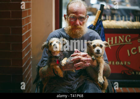Ein Tätowierter Mann im Rollstuhl mit direktem Blick hält Hunde in seinen Schoß. Stockfoto