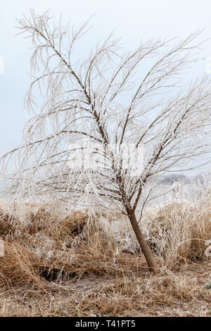 Eisige Ufer des Lake Hefner in Oklahoma City Stockfoto