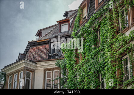 Dieses einzigartige Foto zeigt einen sehr kleinen super romantischen Balkon auf ein altes Haus, das völlig mit Efeu bedeckt. das Foto war ein Straßburg genommen Stockfoto