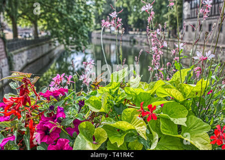 Dieses einzigartige Foto zeigt wunderschöne Blumen auf einer Brücke. erkennt man ein Fachwerkhaus und den Kanal im Hintergrund. Stockfoto