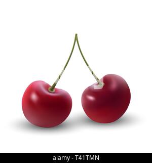 Realistische reife rote Kirsche berriy. Vector Illustration Stock Vektor