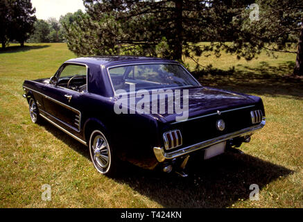 1966 Ford Mustang Coupé Rückansicht Stockfoto