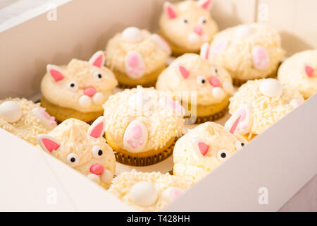 Osterhase cupcakes in einem weißen Cupcake box. Stockfoto