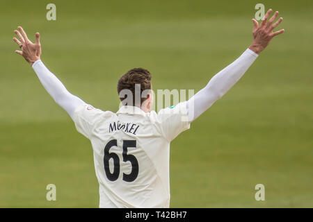 London, Großbritannien. 12. Apr 2019. Morne Morkel Appelle in Surrey auf Essex an Tag zwei des Specsavers County Championship Match am Kia Oval. Stockfoto