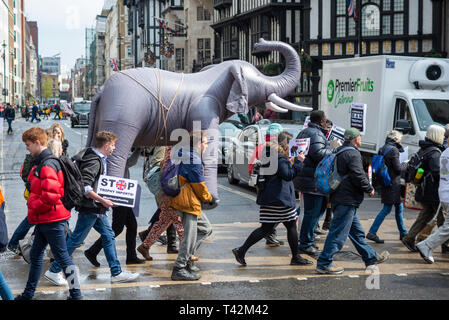 Die Demonstranten tragen einen aufblasbaren Elefanten durch die Straßen von London an einer Haltestelle Trophäenjagd und Handel mit Elfenbein Protestkundgebung, London, UK. Überqueren Sie die Straße Stockfoto