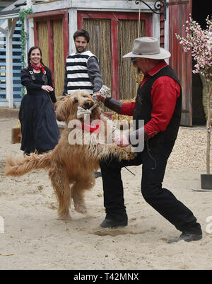 Potsdam, Deutschland. 13 Apr, 2019. Akteure der neuen Western Show 'Tierisch verwreht" zu Beginn der Saison in der Filmpark erscheinen. Foto: Bernd Settnik/dpa-Zentralbild/ZB/dpa/Alamy leben Nachrichten Stockfoto