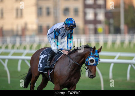 Sydney, USA. 13 Apr, 2019. ROYAL RANDWICK, SYDNEY''""" APRIL 13: Kenedna, von John Allen geritten, gewinnt die Gruppe 1 Coolmore Legacy Stangen am zweiten Tag der Meisterschaften bei Royal Randwick Racecourse in Sydney. Michael Sportswire McInally/Eclipse/CSM/Alamy leben Nachrichten Stockfoto