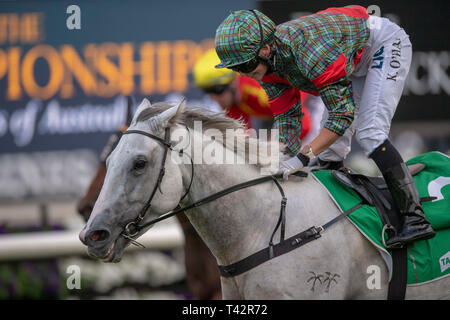 Sydney, USA. 13 Apr, 2019. ROYAL RANDWICK, SYDNEY''""" APRIL 13: White Moss, geritten von Kathy O'Hara gewinnt die Registerkarte Sapphire Stangen am zweiten Tag der Meisterschaften bei Royal Randwick Racecourse in Sydney. Michael Sportswire McInally/Eclipse/CSM/Alamy leben Nachrichten Stockfoto