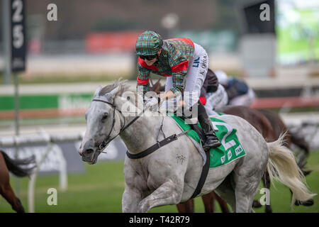 Sydney, USA. 13 Apr, 2019. ROYAL RANDWICK, SYDNEY''""" APRIL 13: White Moss, geritten von Kathy O'Hara gewinnt die Registerkarte Sapphire Stangen am zweiten Tag der Meisterschaften bei Royal Randwick Racecourse in Sydney. Michael Sportswire McInally/Eclipse/CSM/Alamy leben Nachrichten Stockfoto