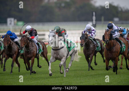 Sydney, USA. 13 Apr, 2019. ROYAL RANDWICK, SYDNEY''""" APRIL 13: White Moss, geritten von Kathy O'Hara gewinnt die Registerkarte Sapphire Stangen am zweiten Tag der Meisterschaften bei Royal Randwick Racecourse in Sydney. Michael Sportswire McInally/Eclipse/CSM/Alamy leben Nachrichten Stockfoto