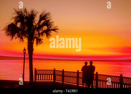 Alabama, Baldwin County Point Clear Mobile Bay Grand, Hotel, Grundstück, Palmenuntergang, landschaftlich, Natur, Natur, Landschaft, Landschaft, Natur, Natur, Coupl Stockfoto