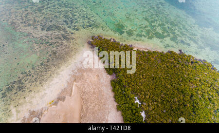 Antenne Landschaft der Insel Sansibar pungume Stockfoto
