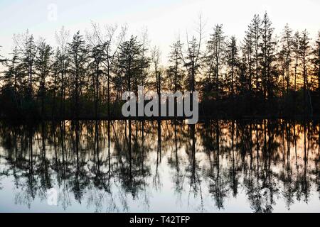 Eine Linie der Bäume spiegeln sich in einem See, als die Sonne hinter Ihnen, Hl. Bruno, Quebec, Kanada Stockfoto