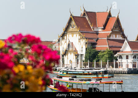 Ausblick auf Wat Rakang Kositaram Woramahawihan Tempel und Chao Phraya River durch die Blumen in Bangkok, Thailand. Verschwommene Vordergrund, geringe Tiefe von fi Stockfoto