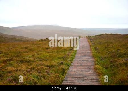 Ein Holzsteg über den Connemara National Park in Irland führen. Das Wetter ist regnerisch. Gras und Pflanzen auf beiden Seiten. Stockfoto