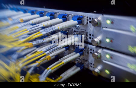 Optische Schalter und farbenfrohe FC-Leitungen verbunden. Rechenzentrum. Close Up. Stockfoto