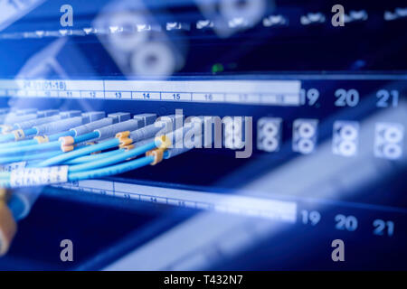 Optische Schalter und farbenfrohe FC-Leitungen verbunden. Rechenzentrum. Close Up. Stockfoto