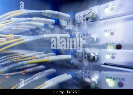 Optische Schalter und farbenfrohe FC-Leitungen verbunden. Rechenzentrum. Close Up. Stockfoto