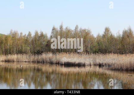 Kleiner See am Fuße der Hügel Arkenberge in Berlin Stockfoto