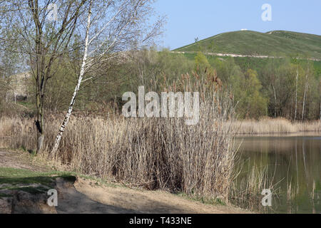 Am Ufer des kleines Biotop See an der Arkenberge Hügel in Berlin Stockfoto