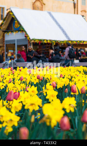 Blumen der Altstädter Ring in Prag für die Ostermärkte - 2019 laden Stockfoto