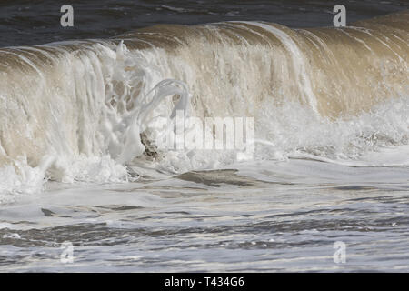 Meer Skulptur brechenden Wellen Norfolk Küste Stockfoto