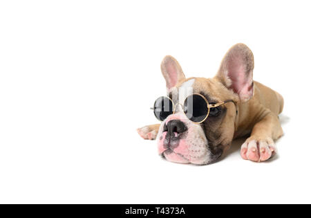 Süße französische Bulldogge tragen Sonnenbrillen und das Schlafen auf weißem Hintergrund, Haustier auf Sommer Konzept Stockfoto