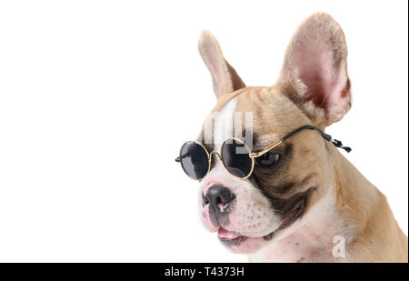 Süße französische Bulldogge tragen Sonnenbrille auf weißem Hintergrund, Haustier auf Sommer Konzept Stockfoto