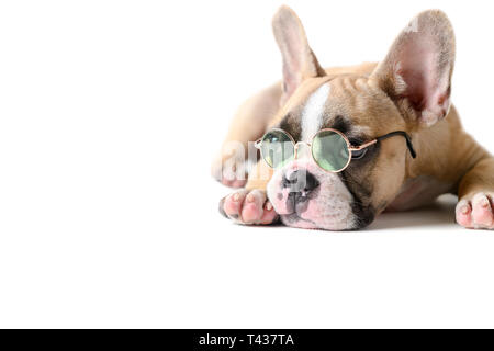Süße französische Bulldogge tragen Sonnenbrillen und das Schlafen auf weißem Hintergrund, Haustier auf Sommer Konzept Stockfoto