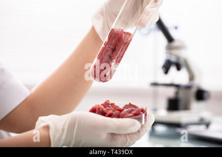 Nahaufnahme der Wissenschaftler Hände halten rohes Fleisch im Reagenzglas und Petrischale Stockfoto